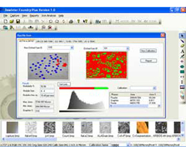 Cast Iron Analysis Software - Model Foundry Plus